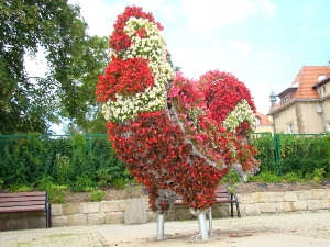Kwiatowy kogut - jeden z herbowych symboli miasta